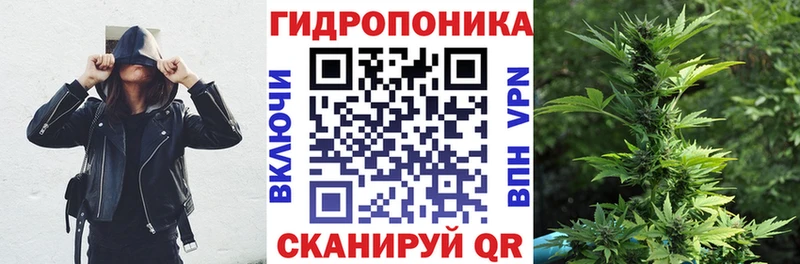 Как найти наркотики Куровское Бошки Шишки  Псилоцибиновые грибы  ГАШИШ  Вейп ТГК  Меф мяу мяу 