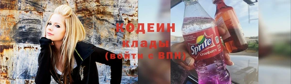 бошки Мегион