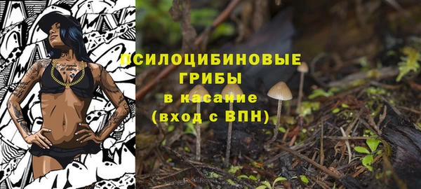 прущие грибы Медвежьегорск