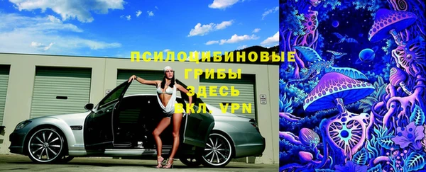 бошки Мегион