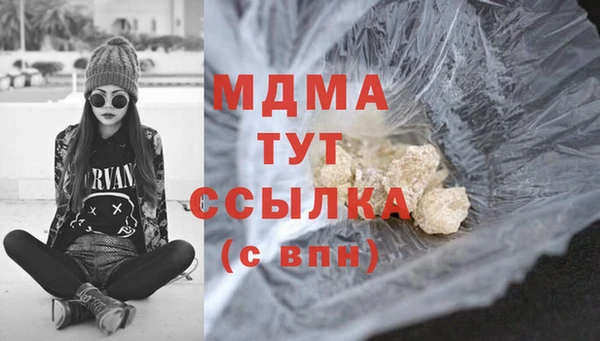 прущие грибы Медвежьегорск