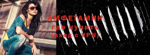 прущие грибы Медвежьегорск