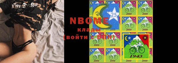 прущие грибы Медвежьегорск