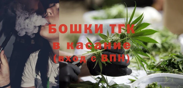 ГАЛЛЮЦИНОГЕННЫЕ ГРИБЫ Медногорск