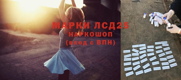 прущие грибы Медвежьегорск
