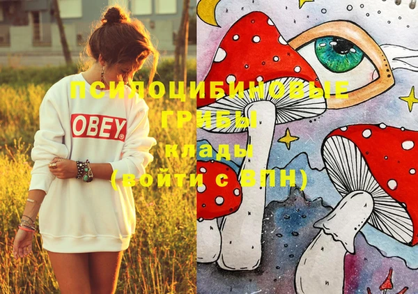 бошки Мегион