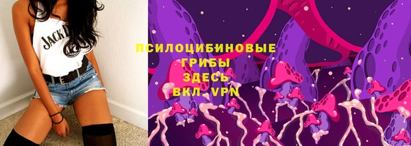 бошки Мегион
