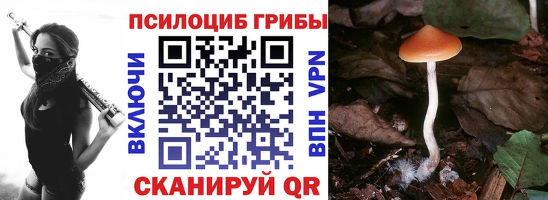 даркнет сайт  Куровское  Псилоцибиновые грибы GOLDEN TEACHER 